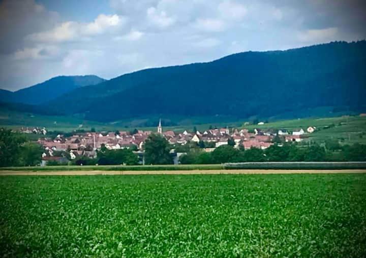 Le Clocher " Sous Les Combles" Parking Gratuit Beblenheim Zewnętrze zdjęcie